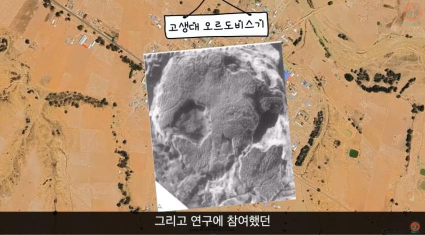 DC Inside 이미지 14