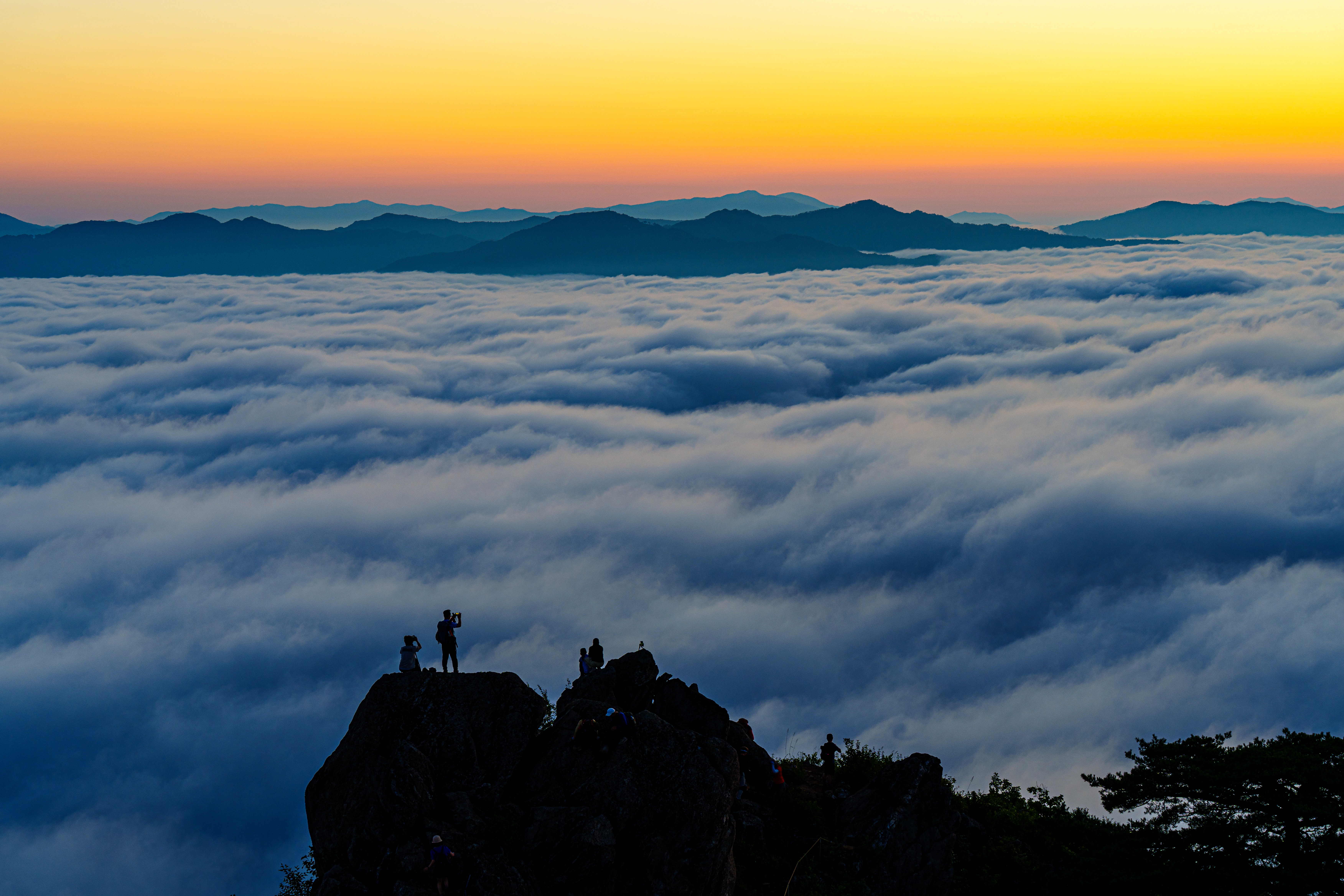 DC Inside 이미지 5