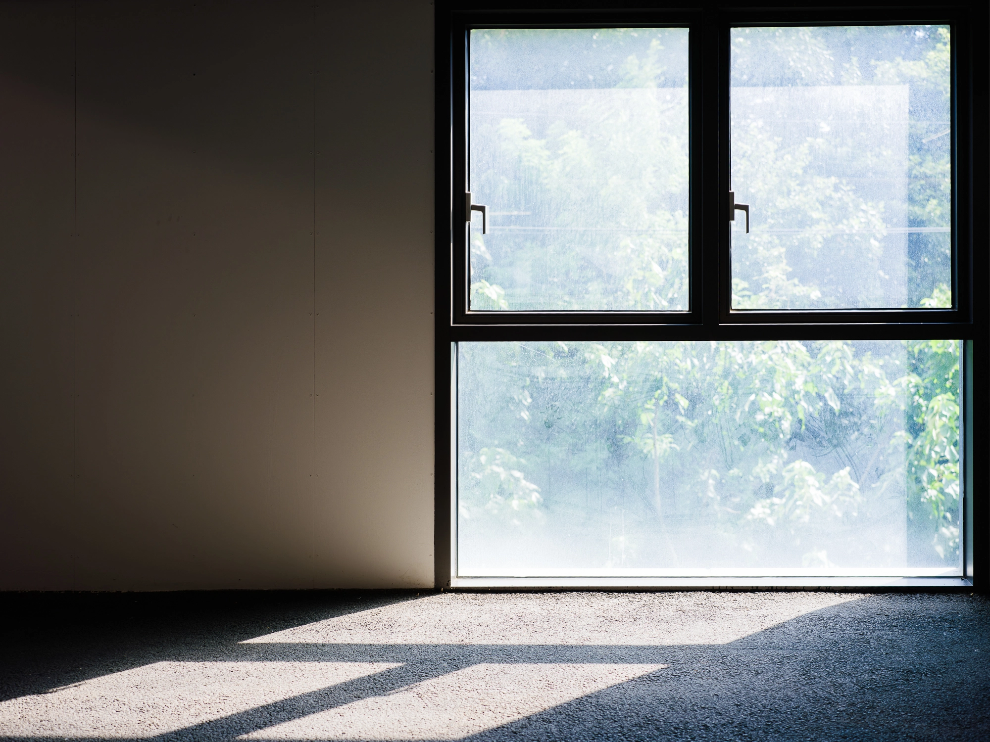 DC Inside 이미지 15