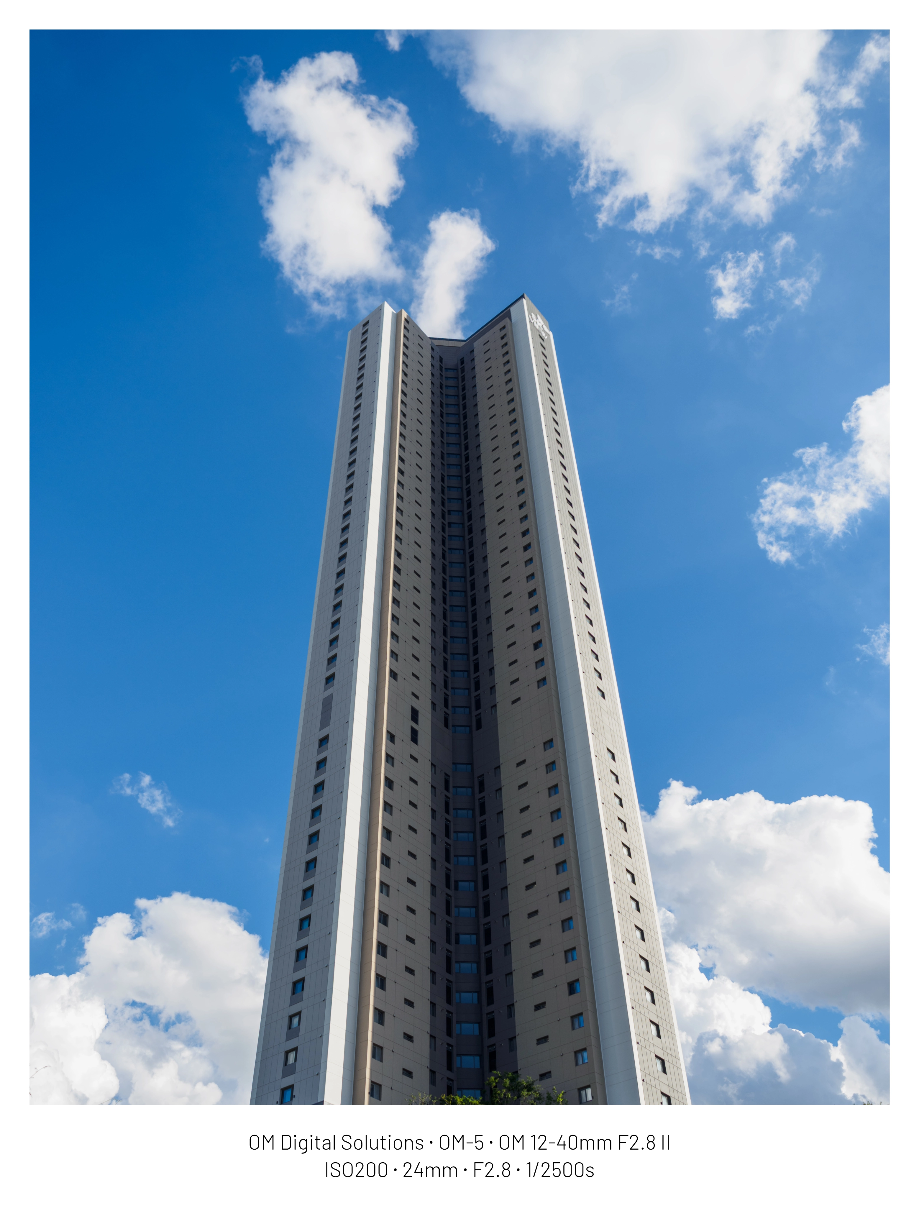 DC Inside 이미지 2