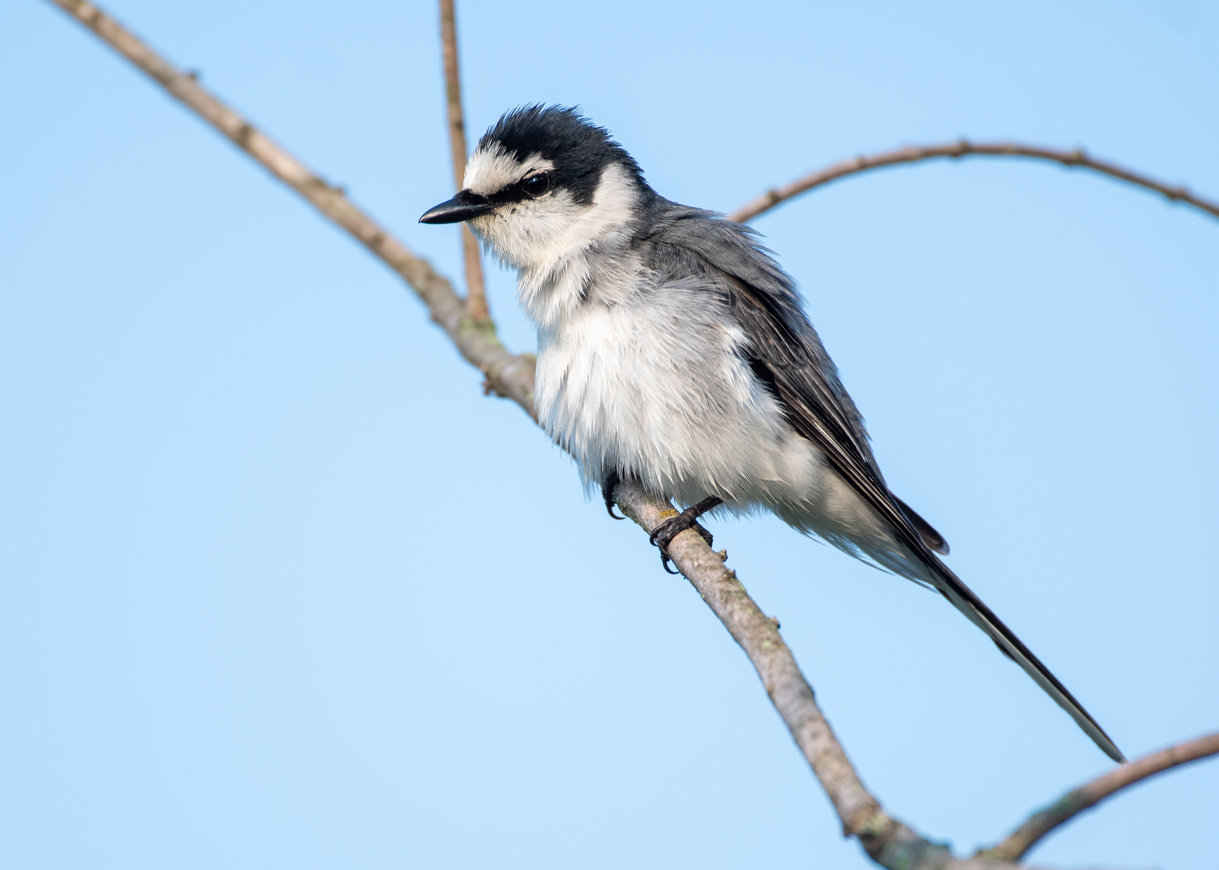 DC Inside 이미지 1