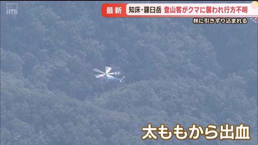 DC Inside 이미지 6