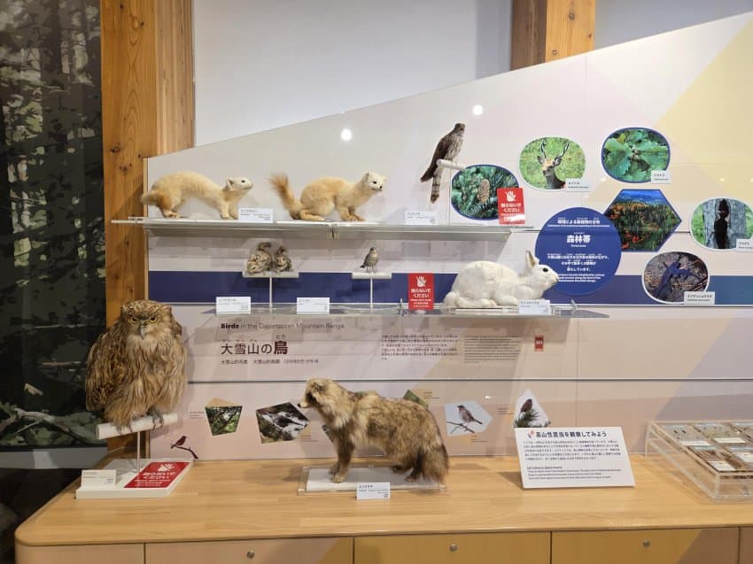 DC Inside 이미지 3