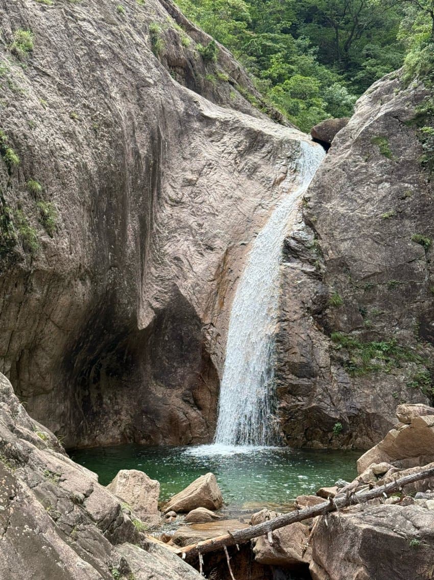 DC Inside 이미지 18