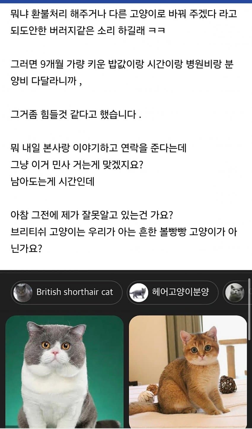 DC Inside 이미지 5