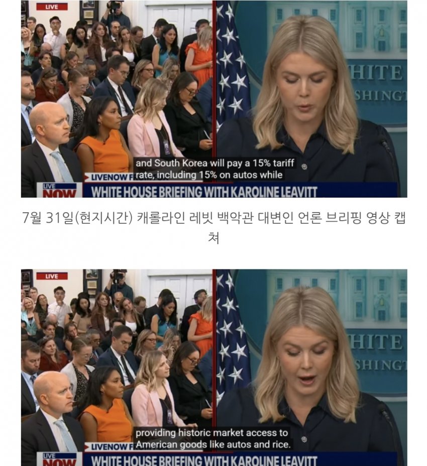 DC Inside 이미지 17