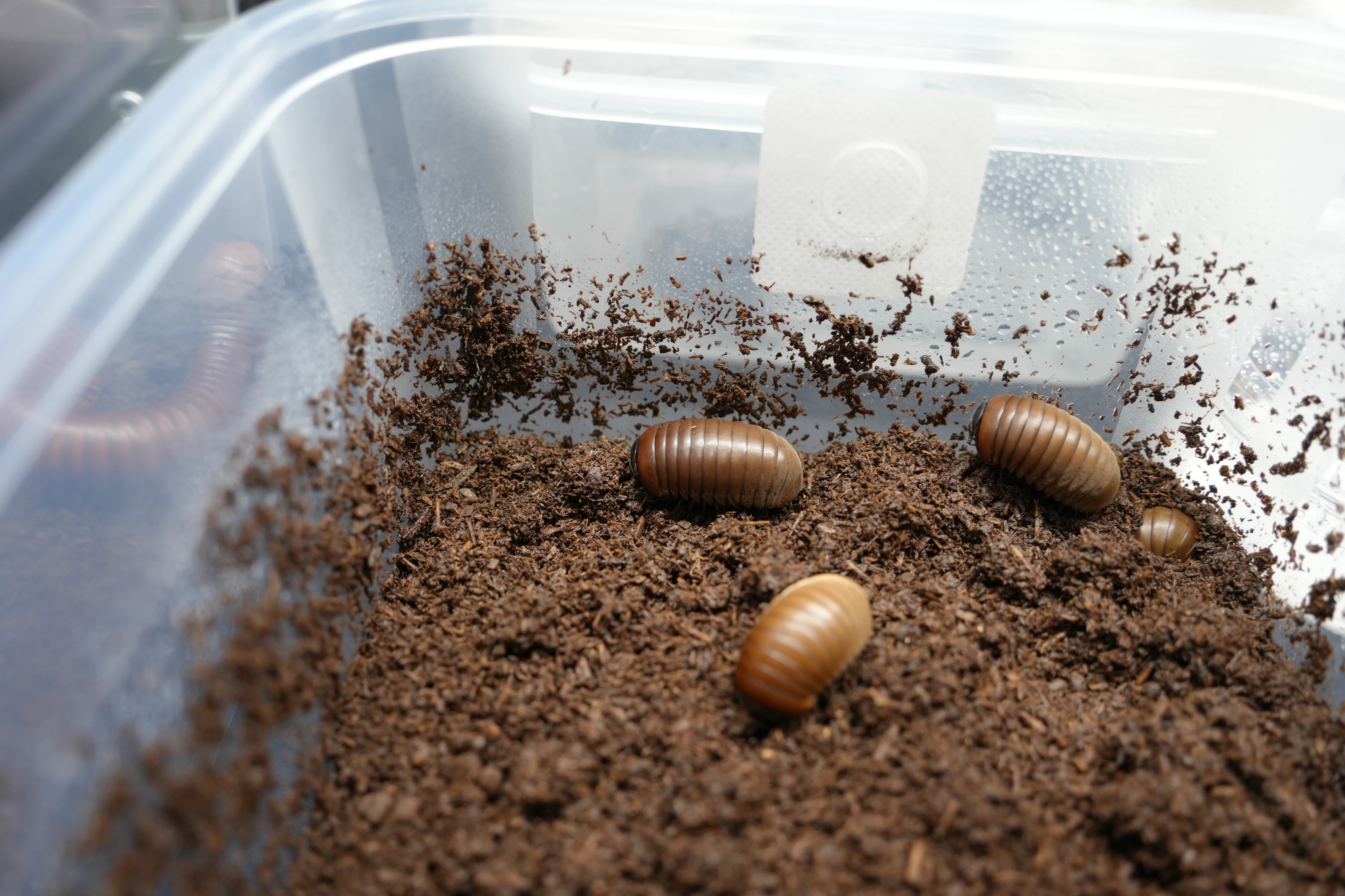 DC Inside 이미지 16