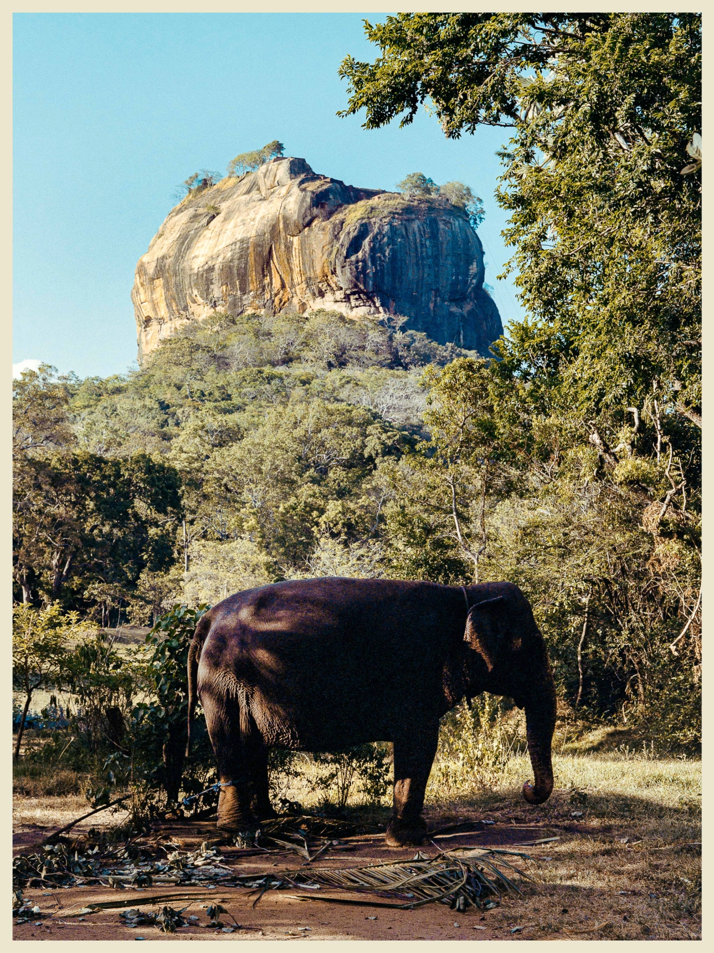 DC Inside 이미지 19