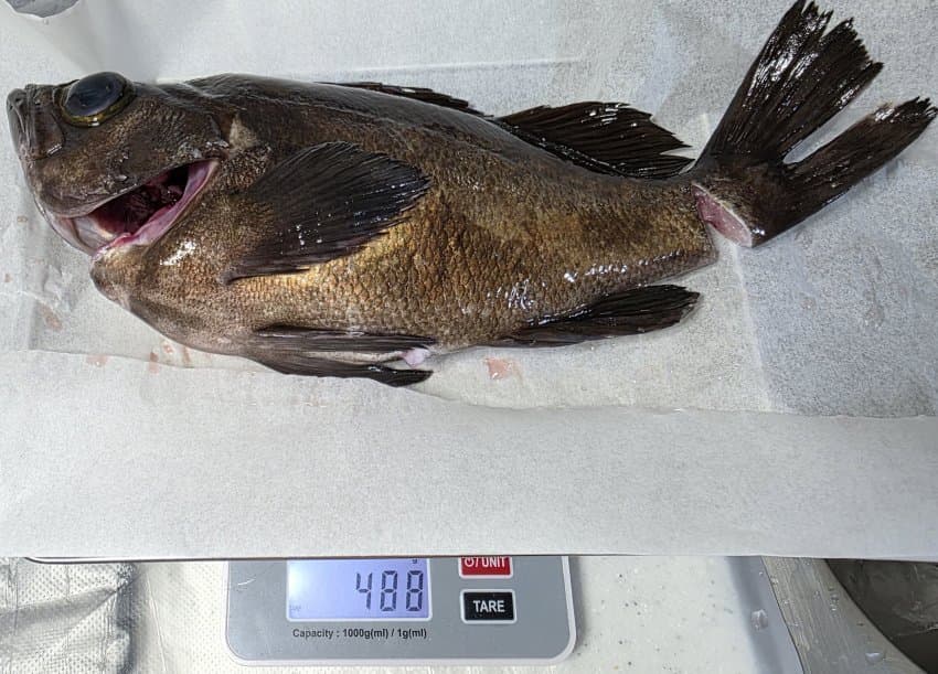 DC Inside 이미지 6