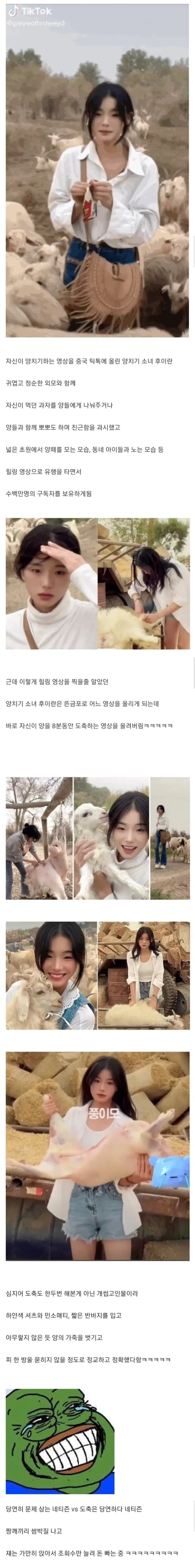 DC Inside 이미지 2