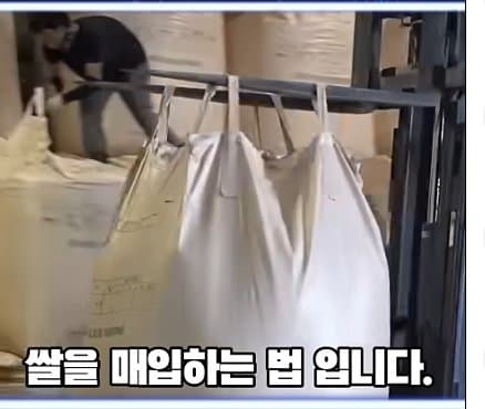DC Inside 이미지 13