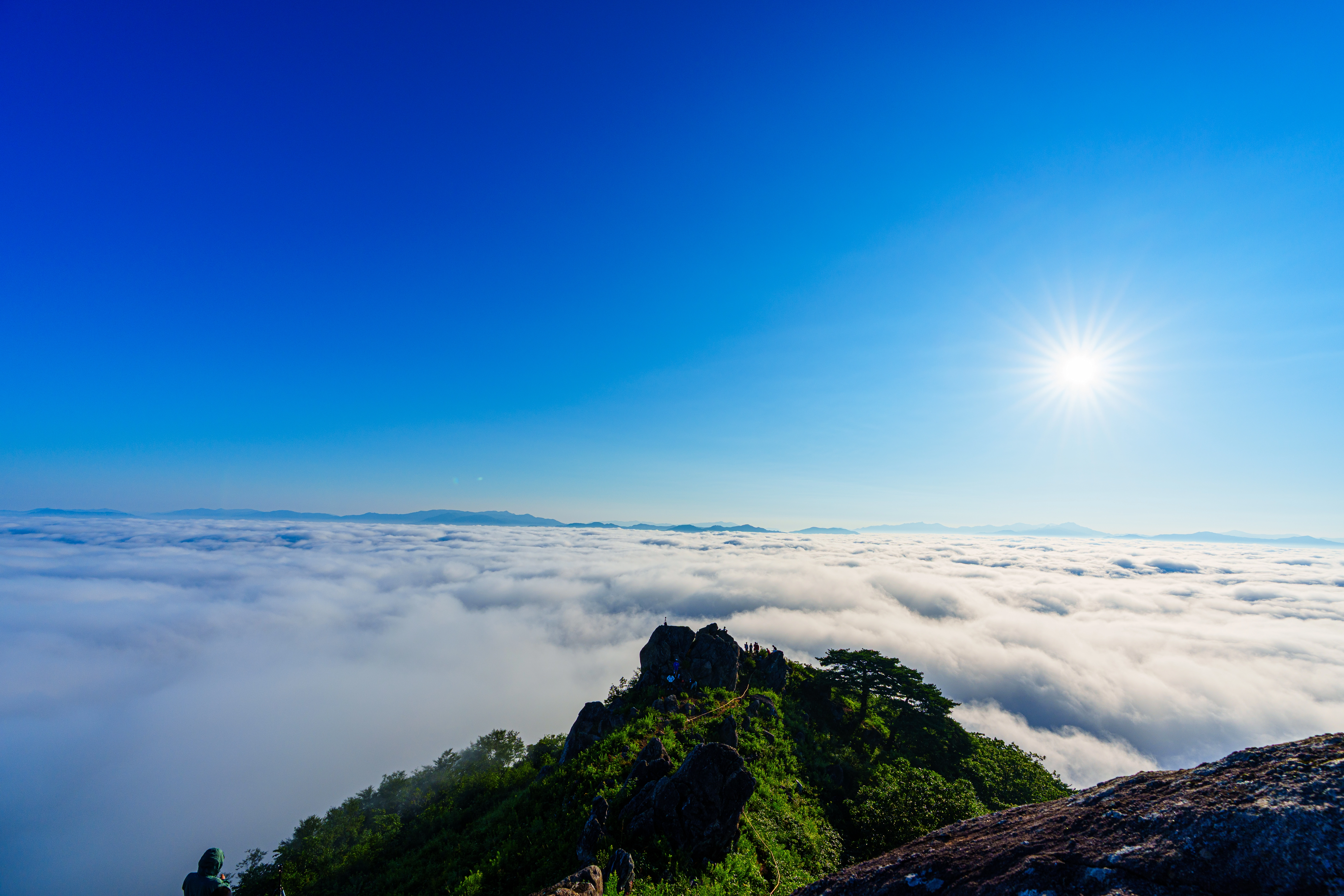 DC Inside 이미지 7