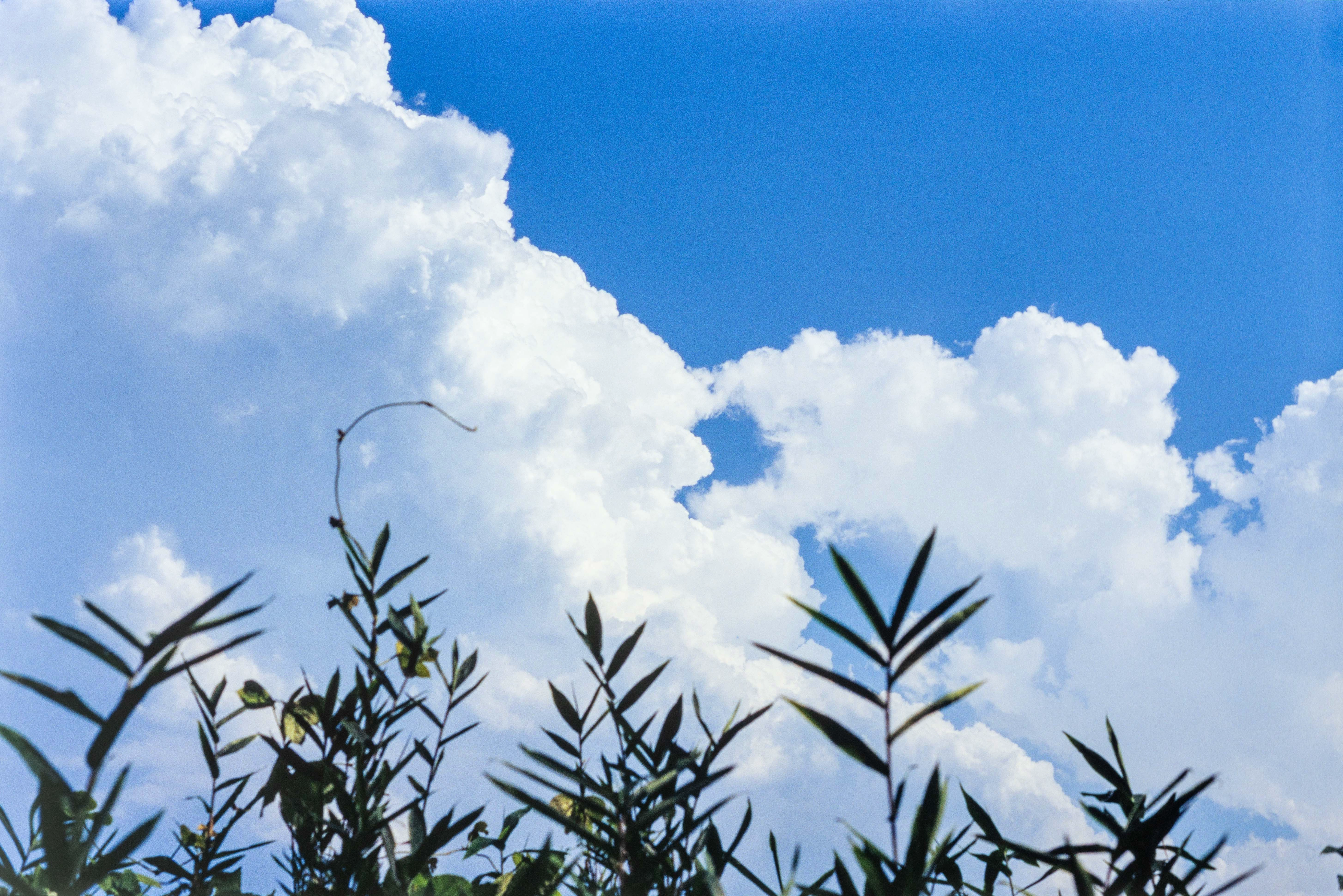 DC Inside 이미지 2