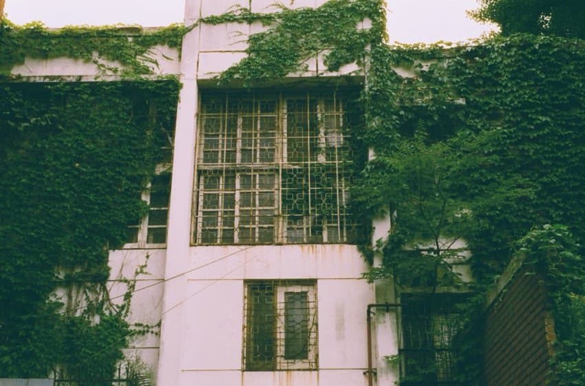 DC Inside 이미지 2