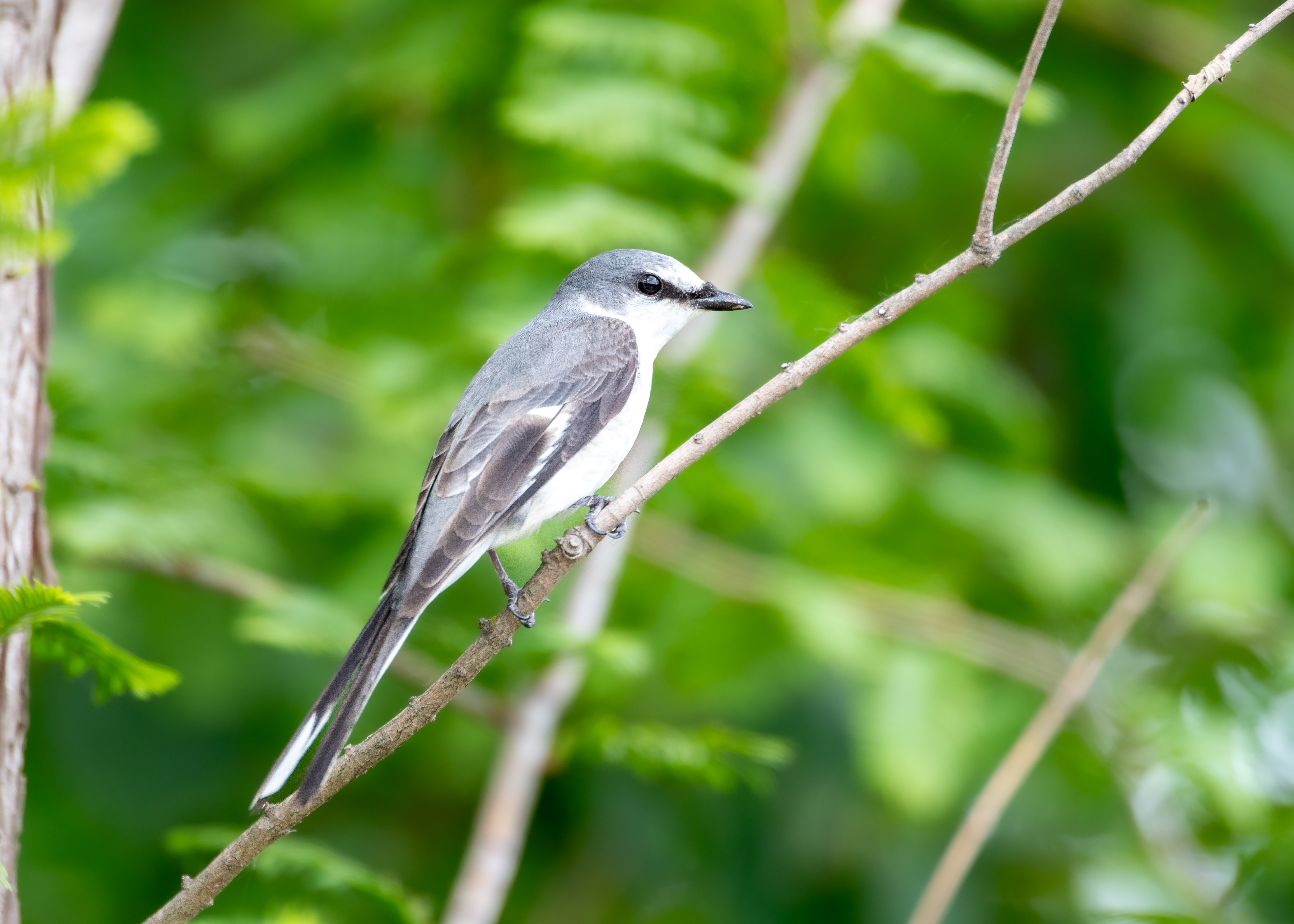 DC Inside 이미지 8