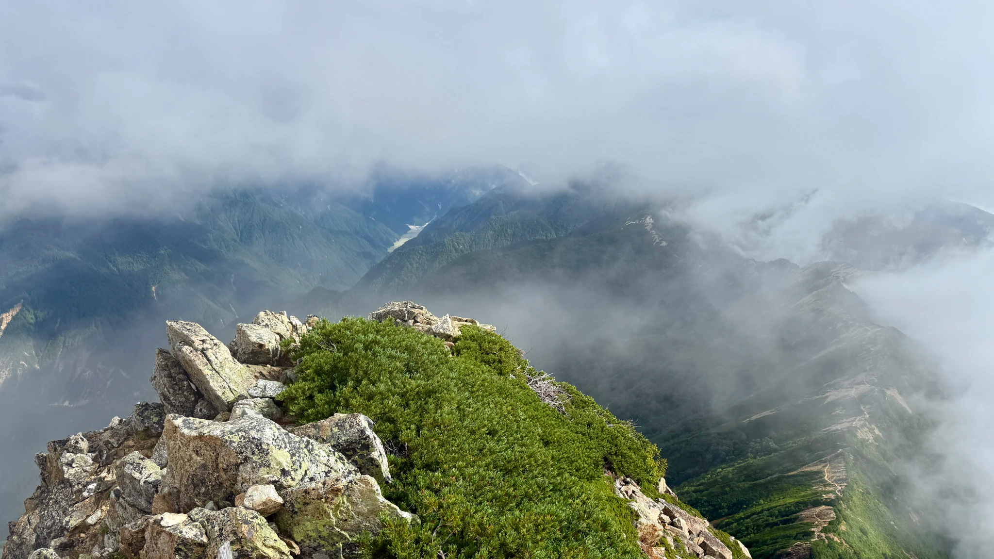 DC Inside 이미지 2