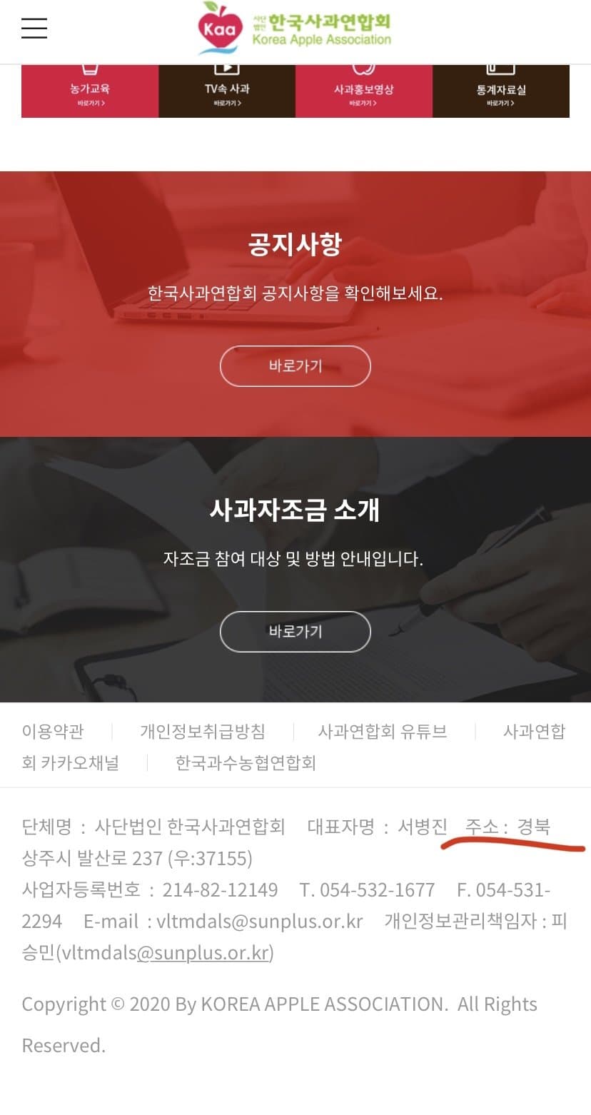 DC Inside 이미지 5