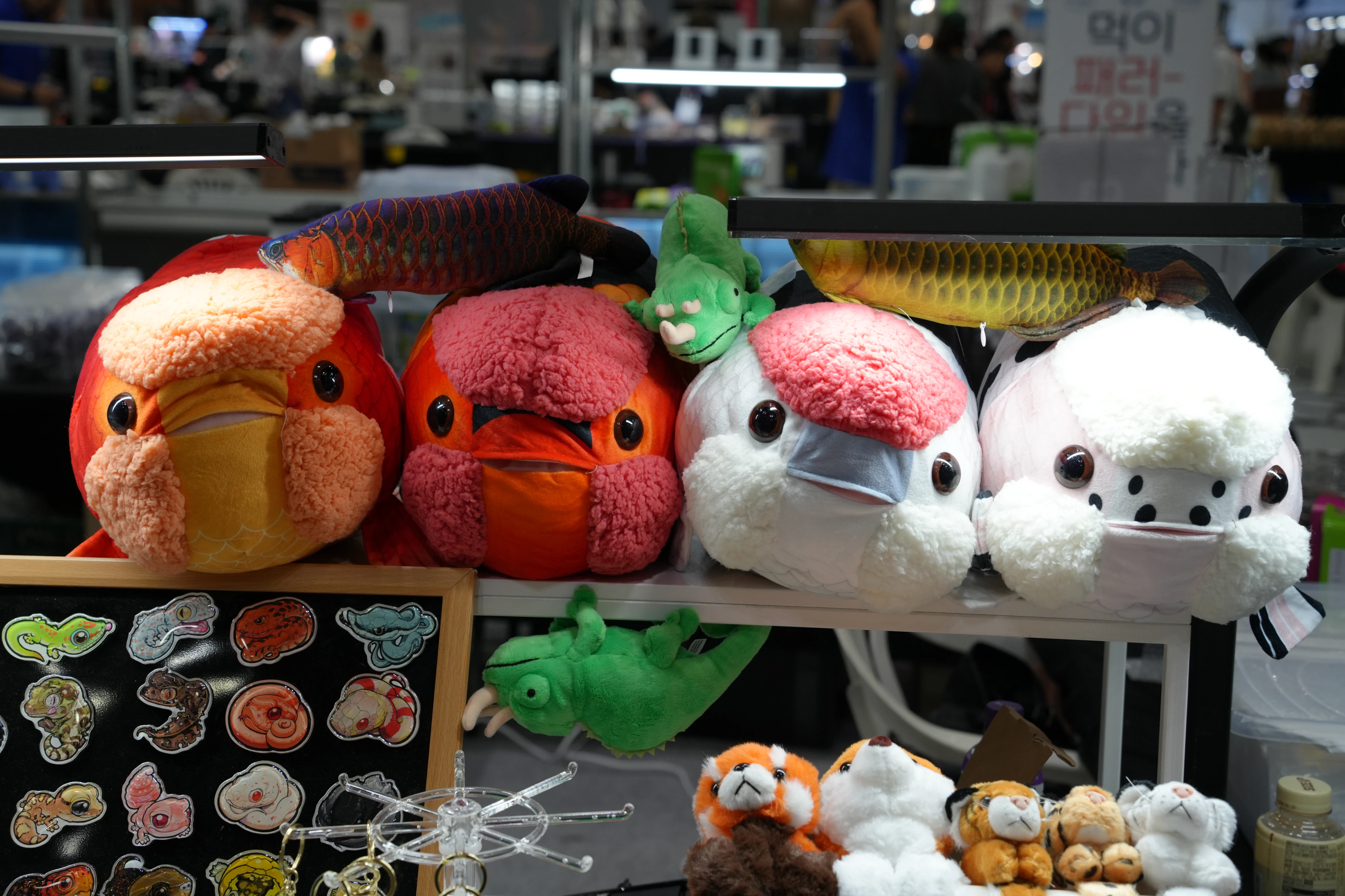 DC Inside 이미지 7