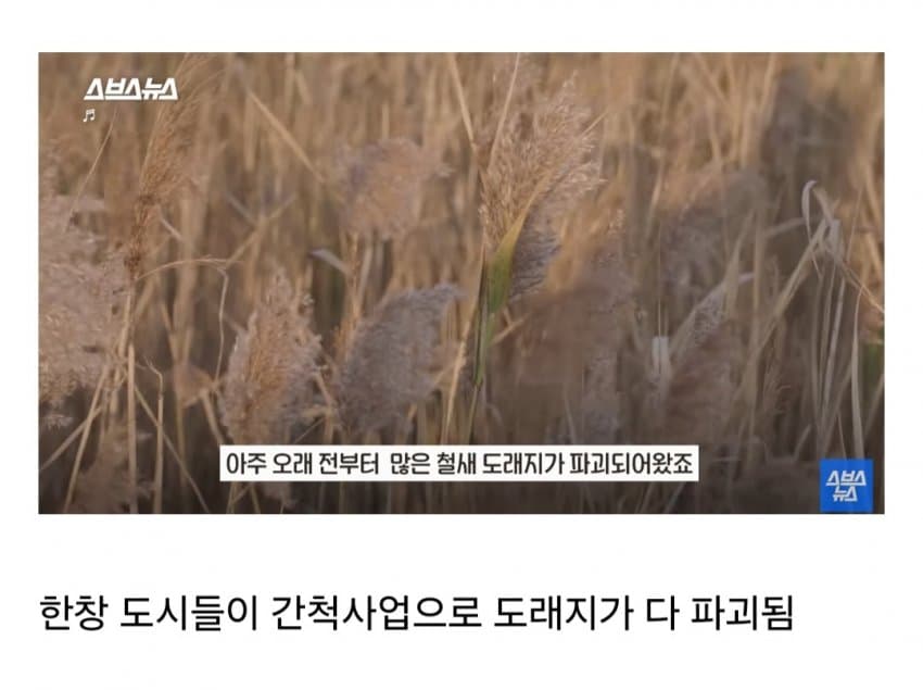 DC Inside 이미지 1