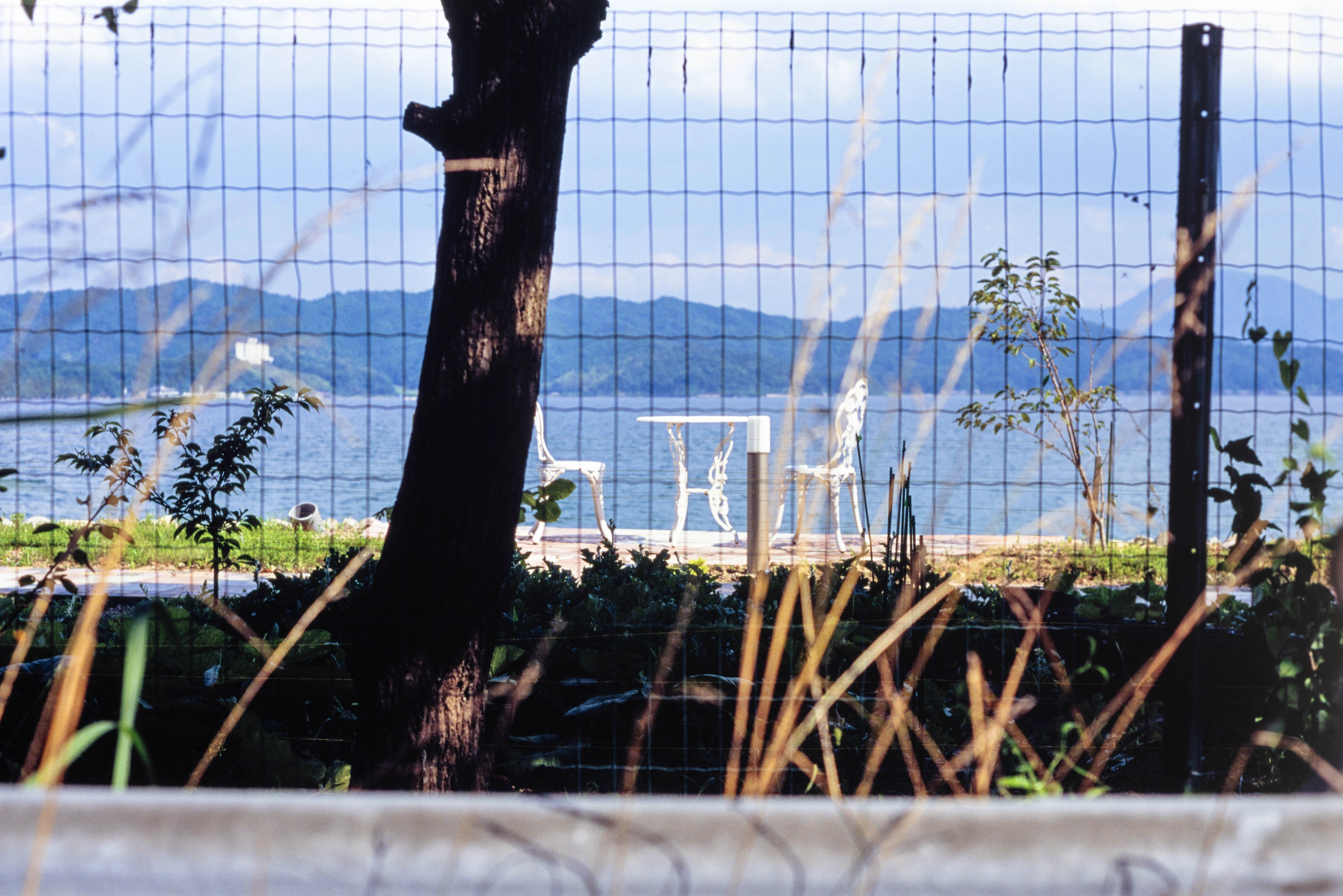 DC Inside 이미지 4