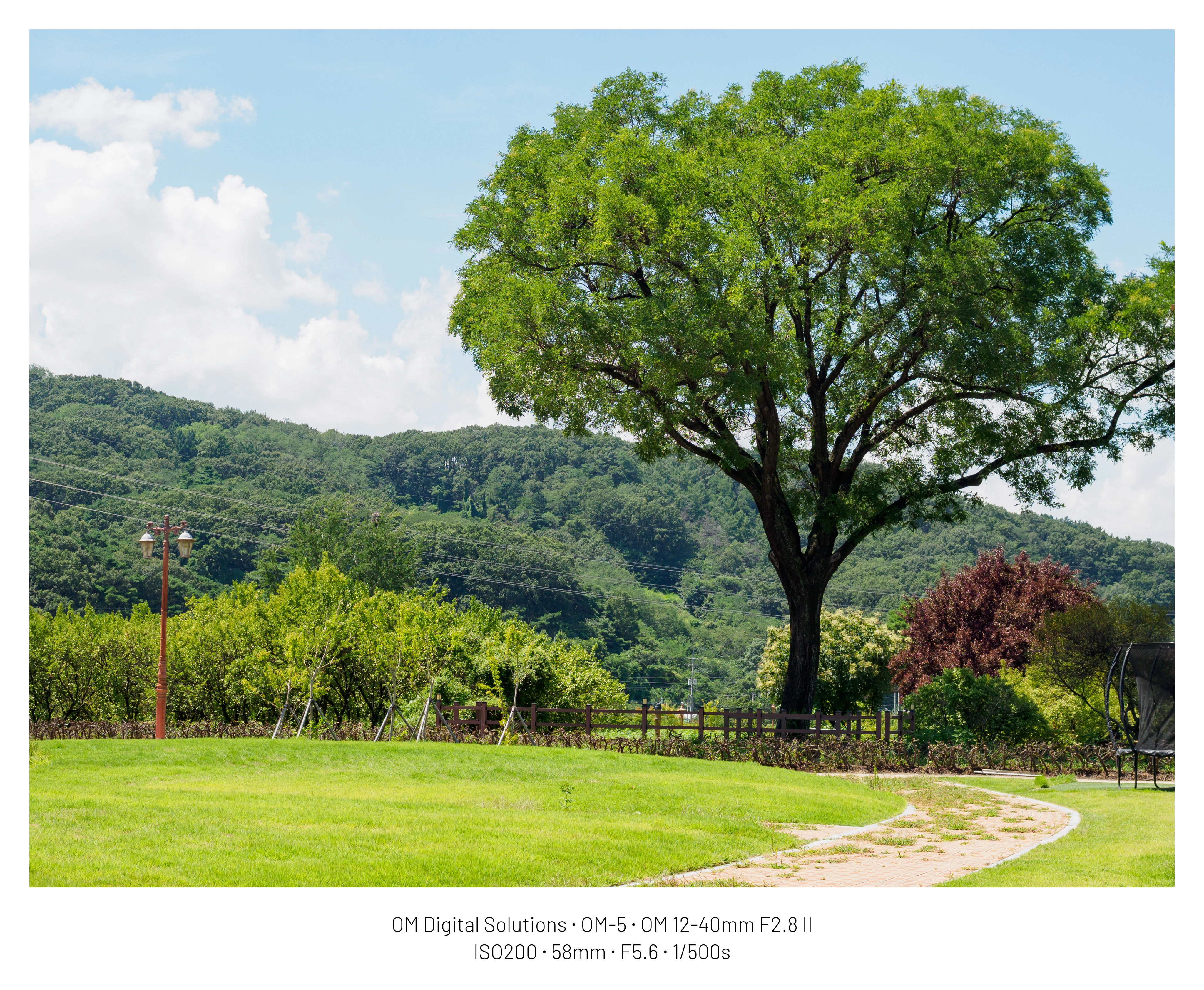 DC Inside 이미지 4