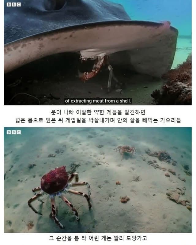 DC Inside 이미지 3