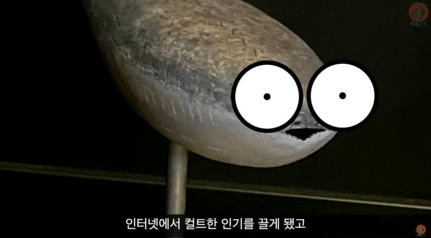 DC Inside 이미지 7