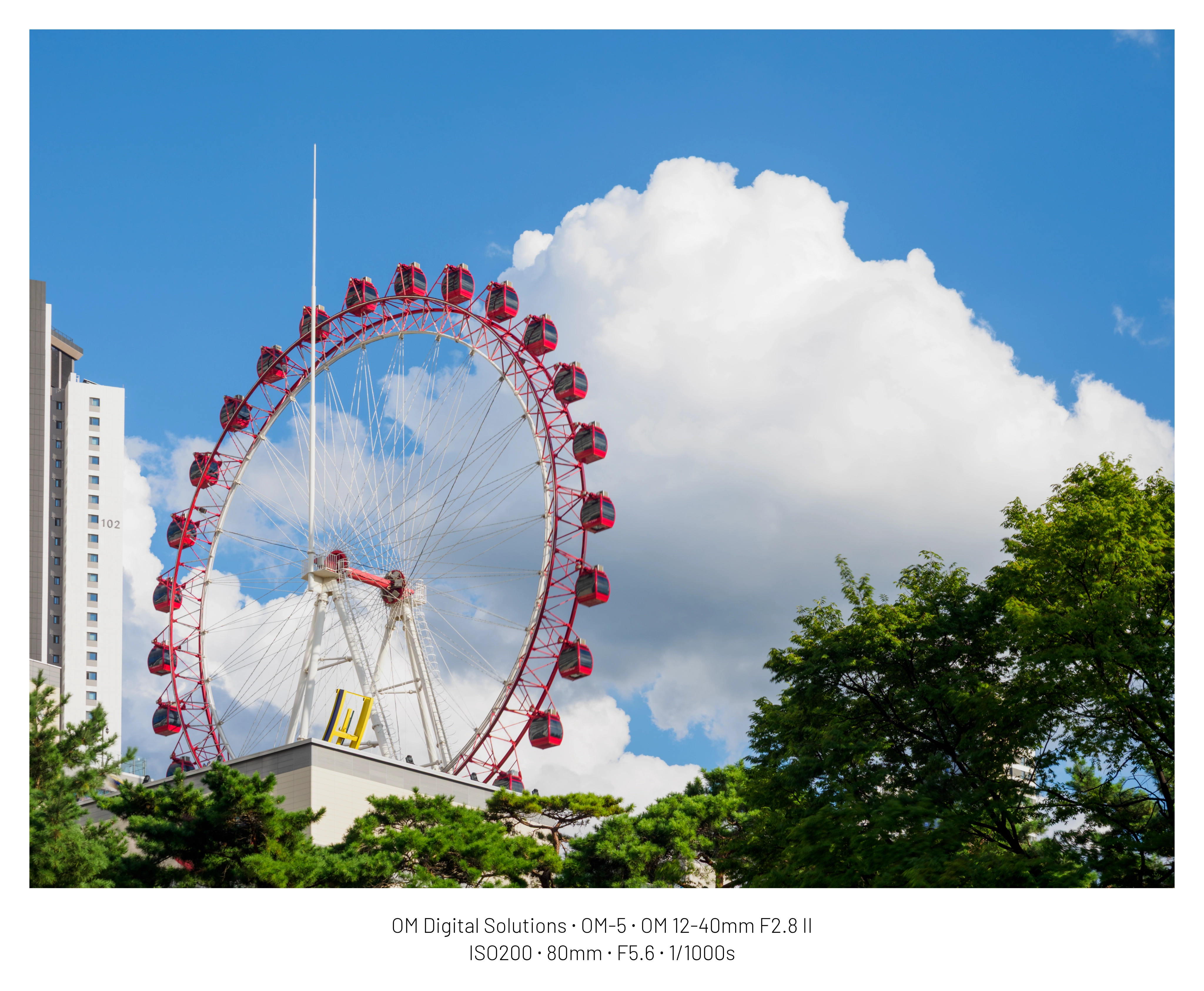 [디갤] 대구 대구