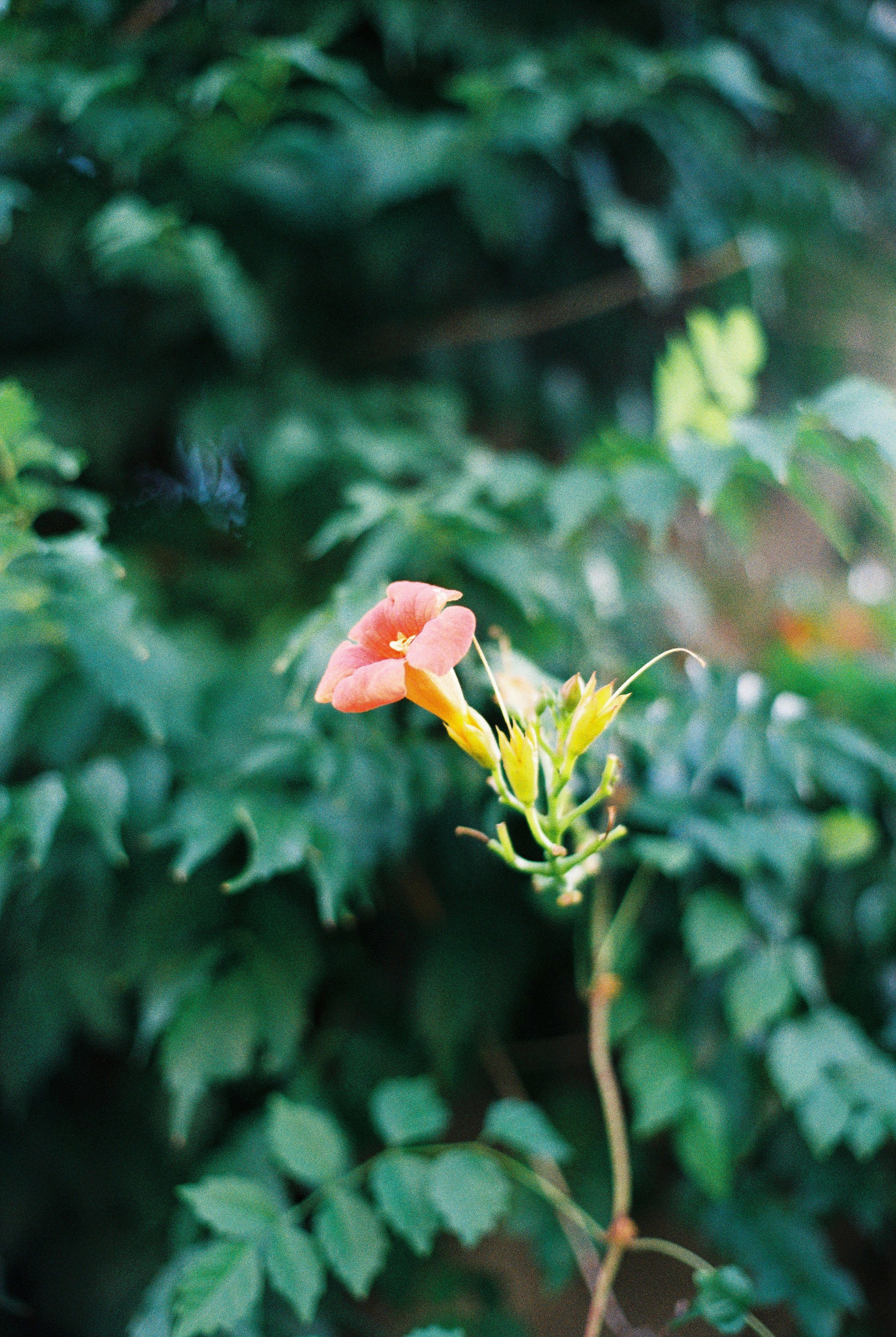 [필갤] 이 정도면 C200 따라 잡았냐?_19pic