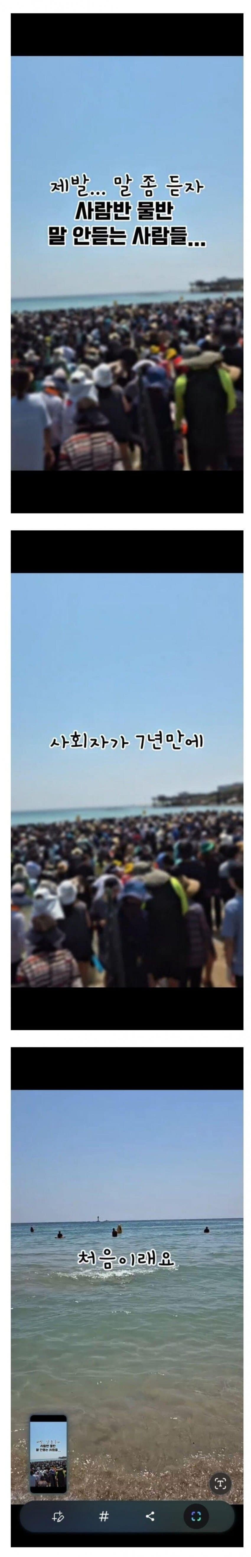 [이갤] 구룡포 오징어 맨손잡기 체험행사가 취소된 이유