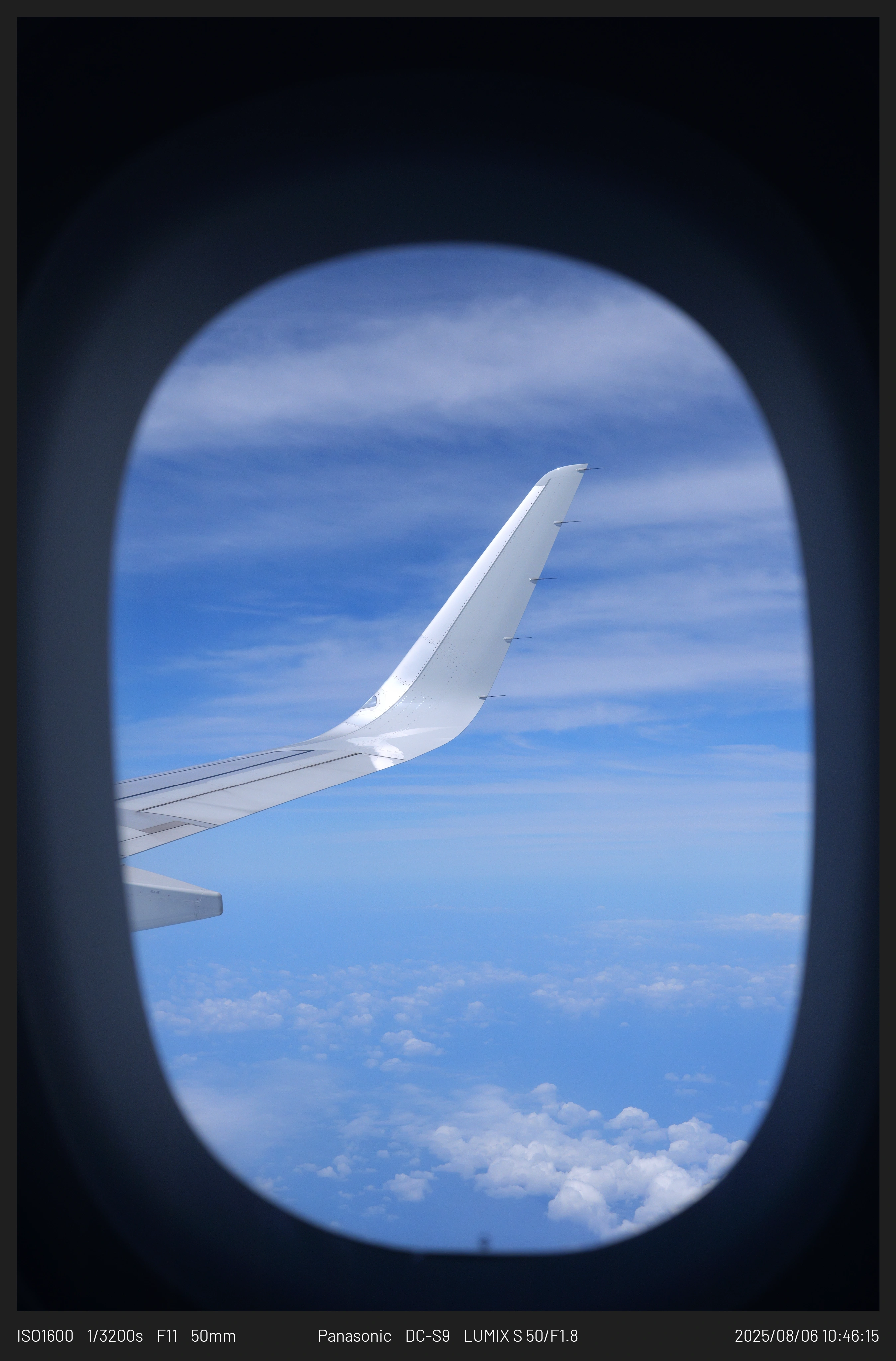 [디갤] 뉴비 가고시마 다녀왔어요.webp