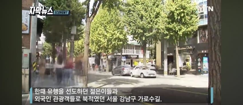 [야갤] ‘유령 골목’ 전락한 가로수길… 상가 절반 가까이 ‘텅텅’