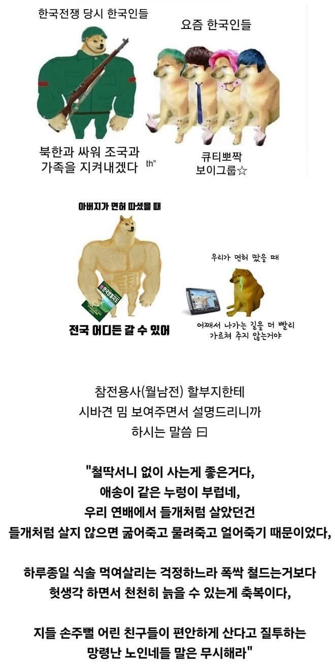 [판갤] 시바견 밈…당사자 근황…jpg