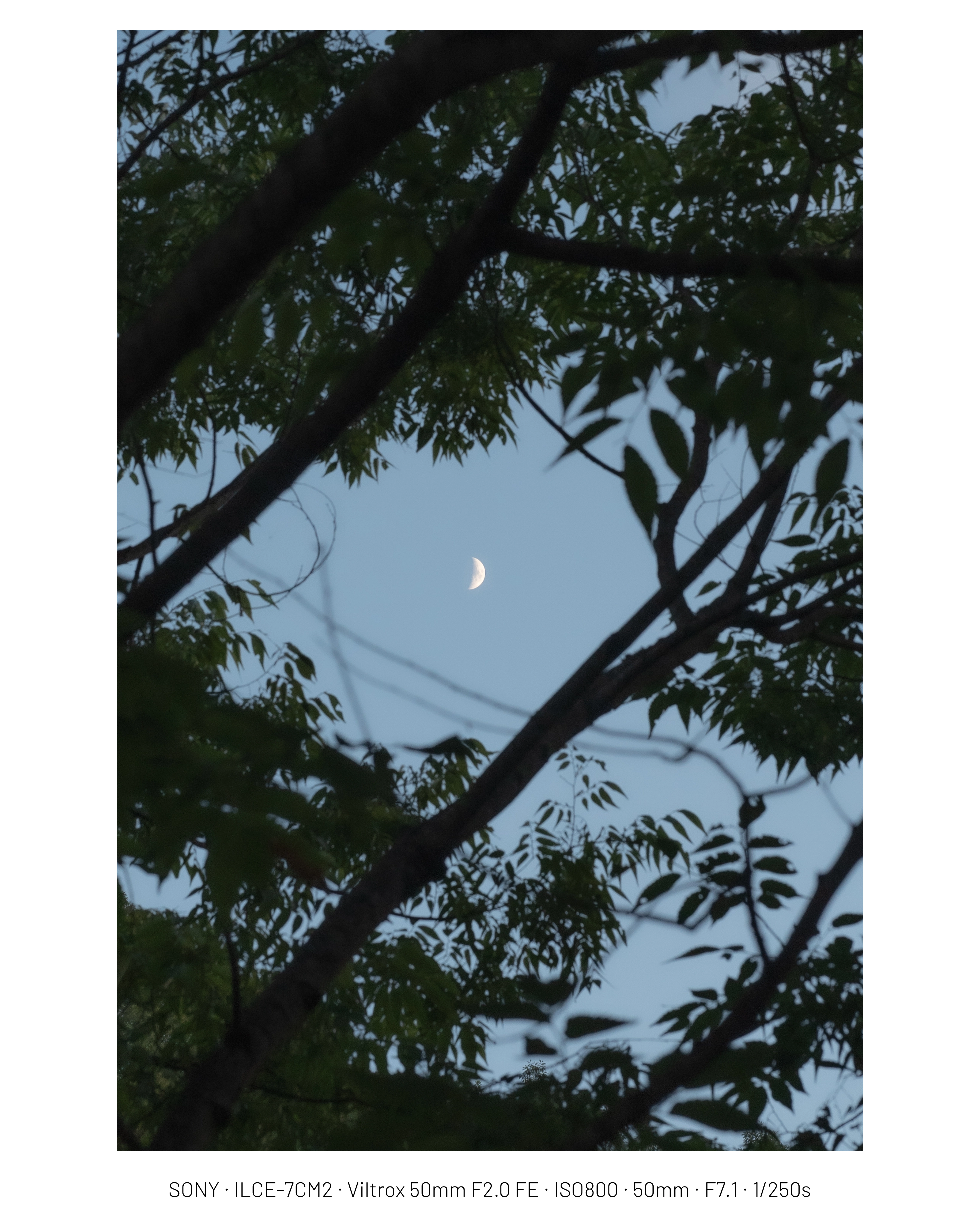 [디갤] 7월 사진 모음(30장)