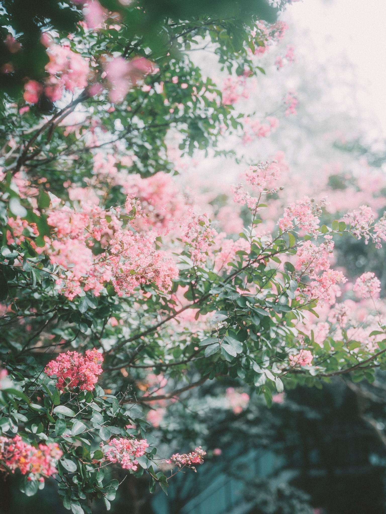 [디갤] Fragments of life (23장)