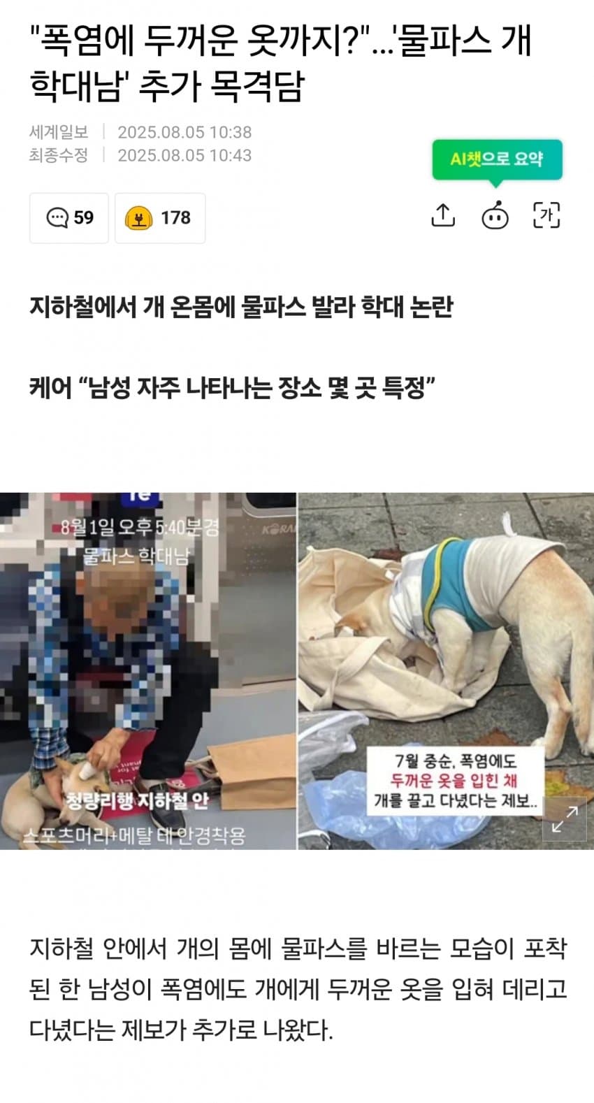 [멍갤] “폭염에 두꺼운 옷까지?”…’물파스 개 학대남’ 추가 목격담