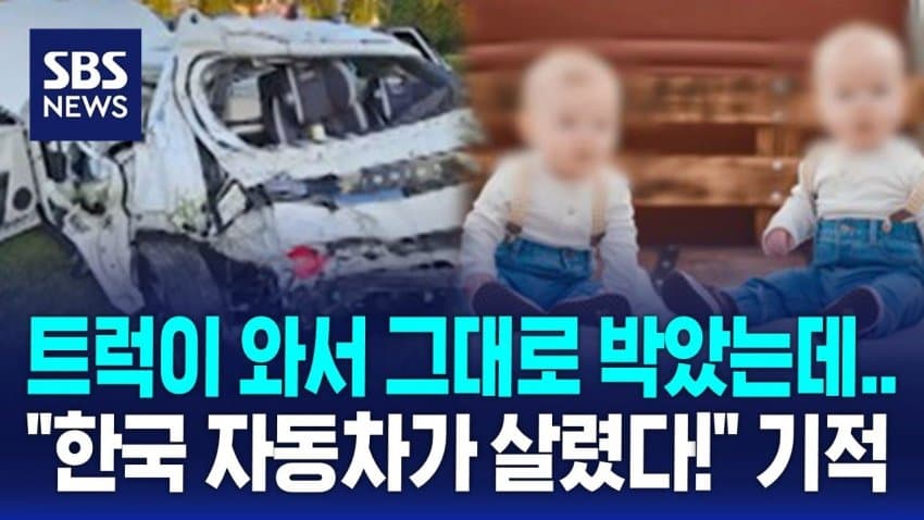 [대갤] 美쌍둥이, 韓현대차 덕에 살았다… 해외 네티즌들도 기적에 감탄