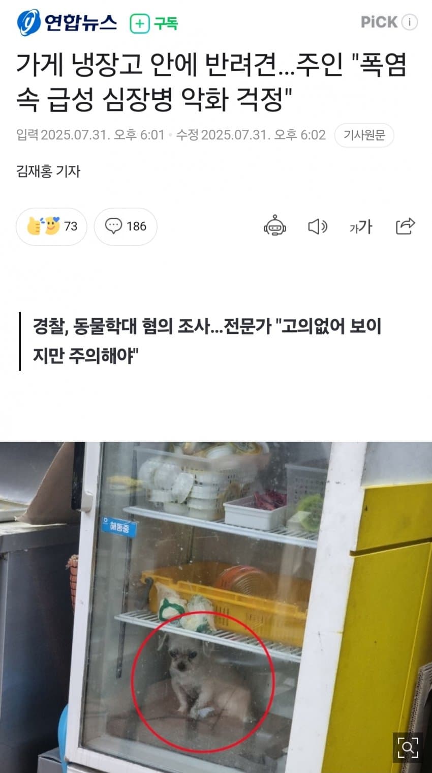 [야갤] 가게 냉장고 안에 반려견…주인 “폭염속 급성 심장병 악화 걱정”