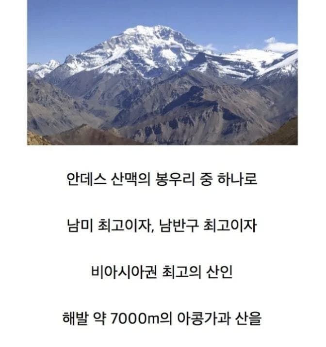 [싱갤] 싱글벙글 천하제일 고인물 남미 아줌마 5인방