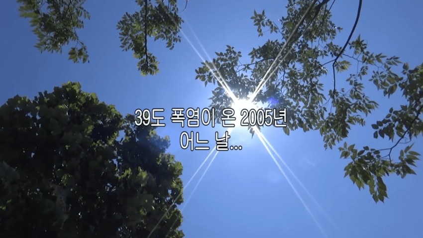 [기갤] 옛날 향수 그대로 살려서 대박터진 채연 유튜브