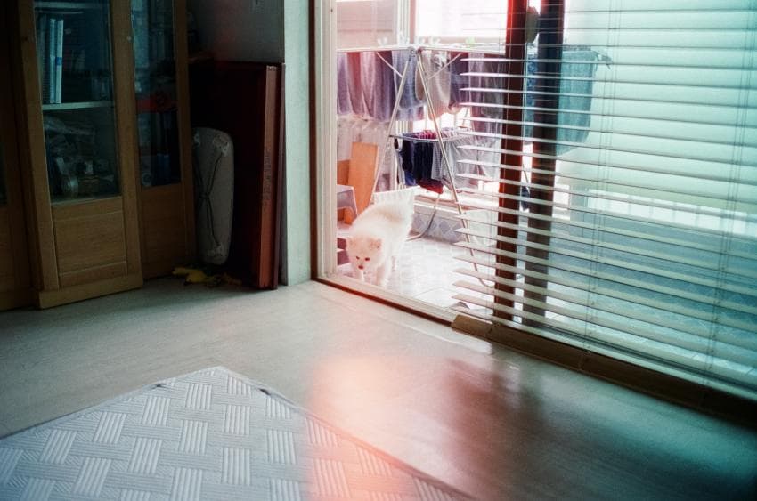 [필갤] 아침부터 올려보는 800t로 찍은 북촌한옥마을