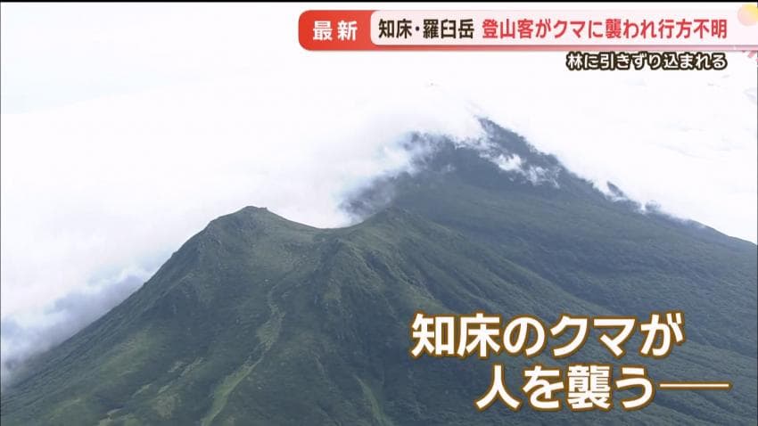 [등갤] 오늘 홋카이도 불곰으로 난리난 일본