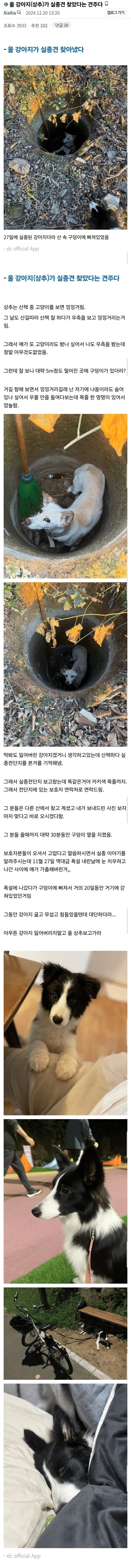 강아지가 실종견 찾음 ㄷㄷ