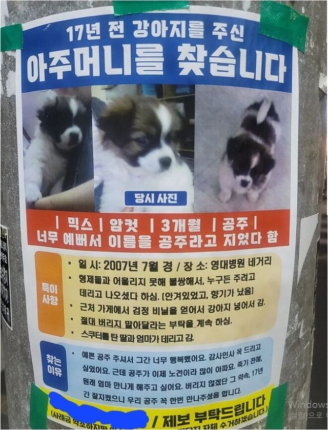 17년 전 댕댕이를 주신 아주머니를 찾습니다.