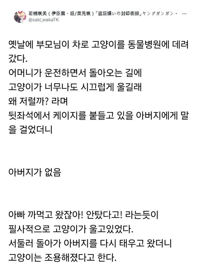 아빠 버리고 온 줄 알고 서럽게 운 고양이