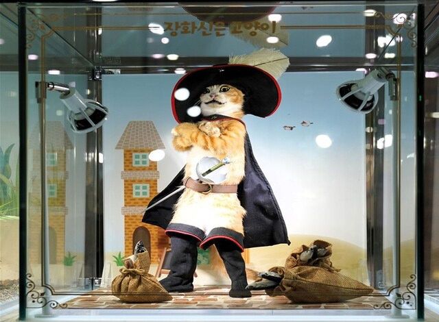 충북 아쿠아리움에서 동화를 뚫고 나온 생물을 주제로 특별한 전시 열려