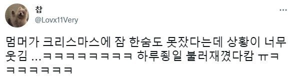 앵무새 때문에 잠을 못 자는 댕댕이 ㅋㅋㅋ