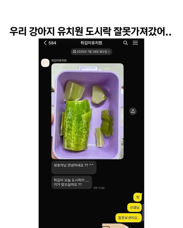 우리 강아지 유치원 도시락 잘못 가져갔어…jpg