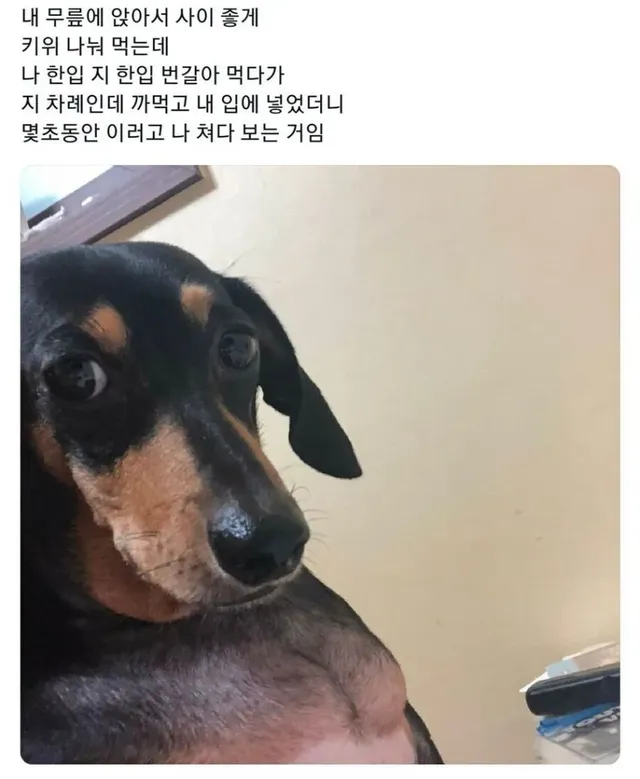 “와 되게 섭섭하다 주인아”