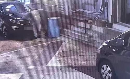손을 할퀴어서…안전고깔에 길고양이 가두고 학대한 20대 송치